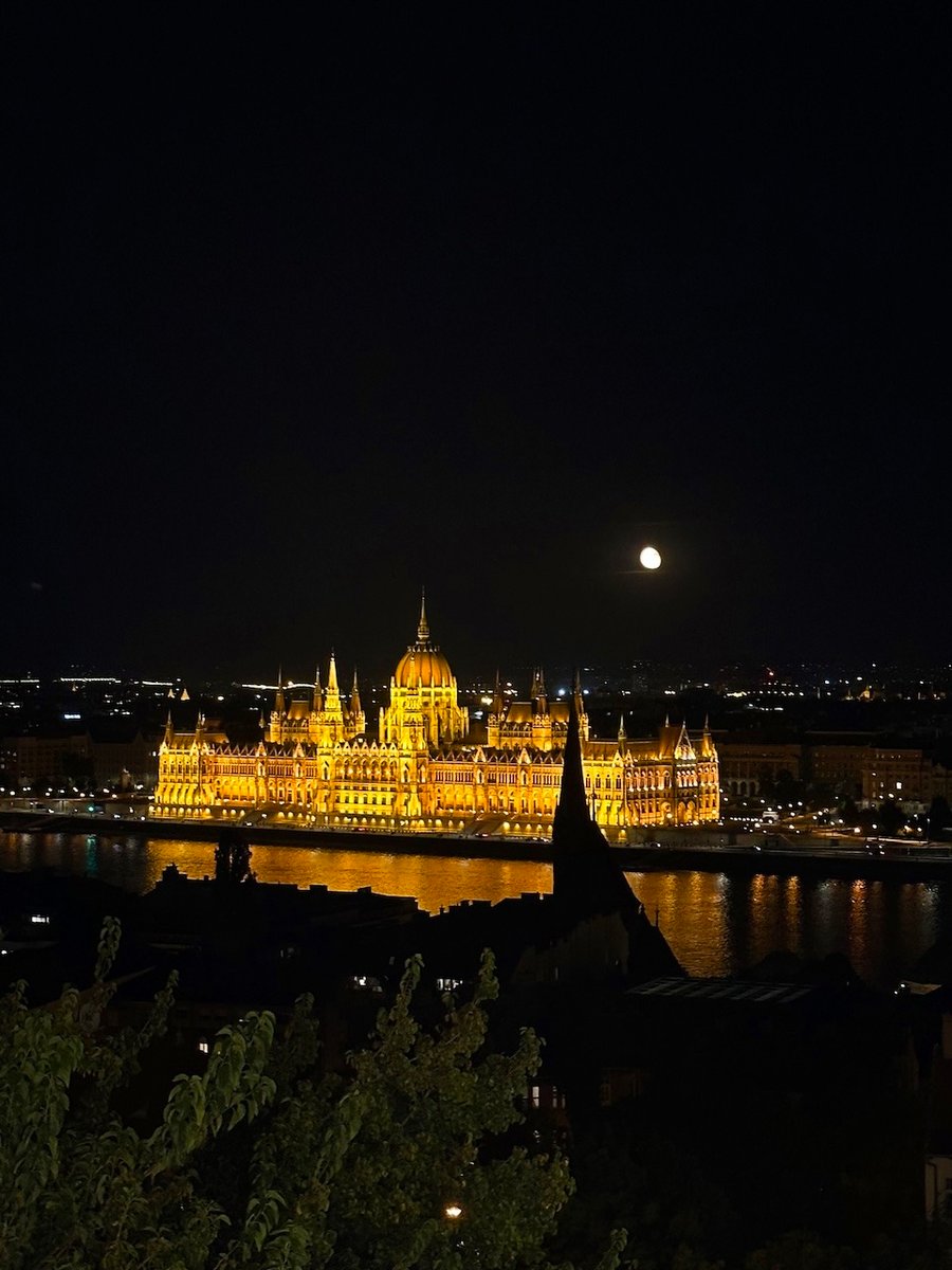 Hungarian_Parliament_Building_Distance_BudaPest_Verticle_Budapest