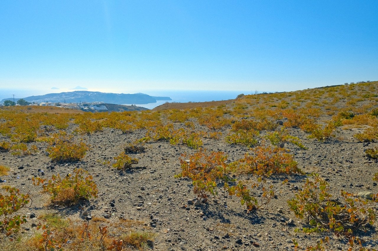 Vineyards_Santorini_Landscape